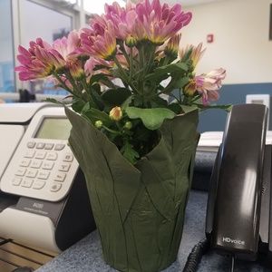 Meet your Posher, Abigail